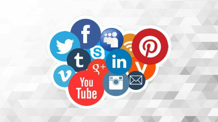 Dolphin Lentisimo No Computador Potente 3